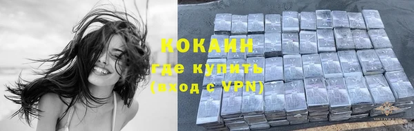 спайс Алексин