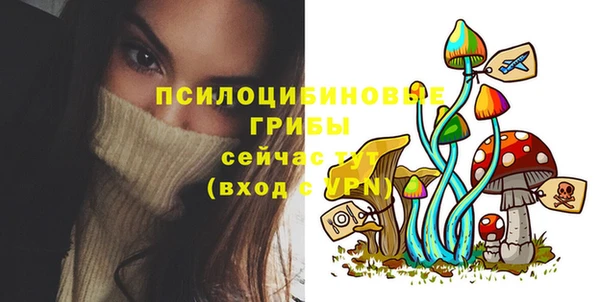 ешки Алексеевка